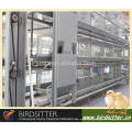 2015 popular H type automatic poultry broiler cage system